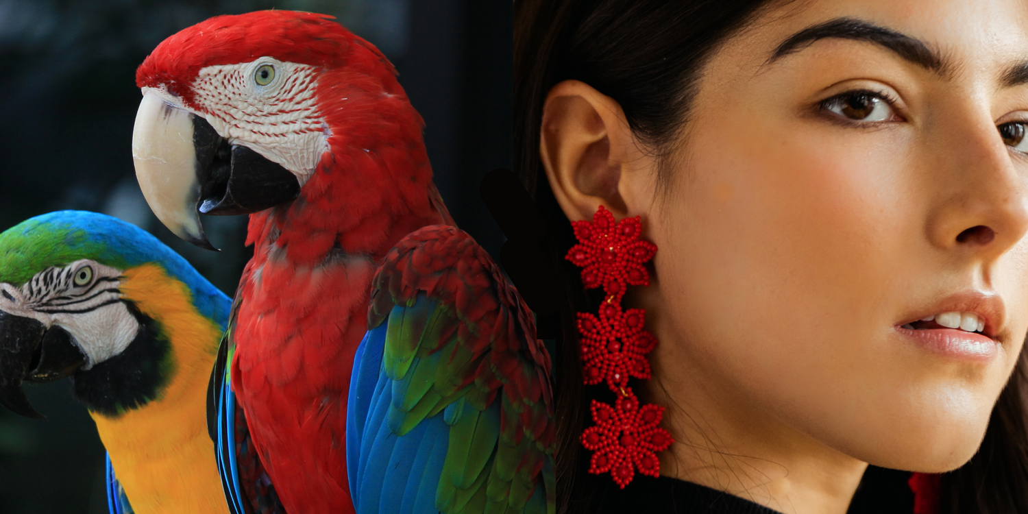 Close-up of a woman wearing red earrings with a colorful parrot in the background